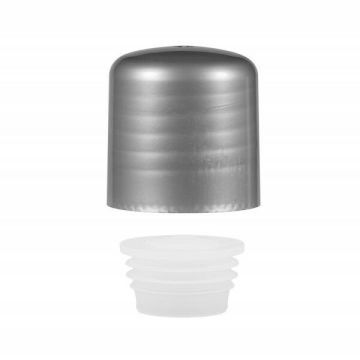 085c24b5951a672697ecacd4159eba2c98f86681_Schroefdop_met_plug_PP_zilver_24.410_600x600.jpg